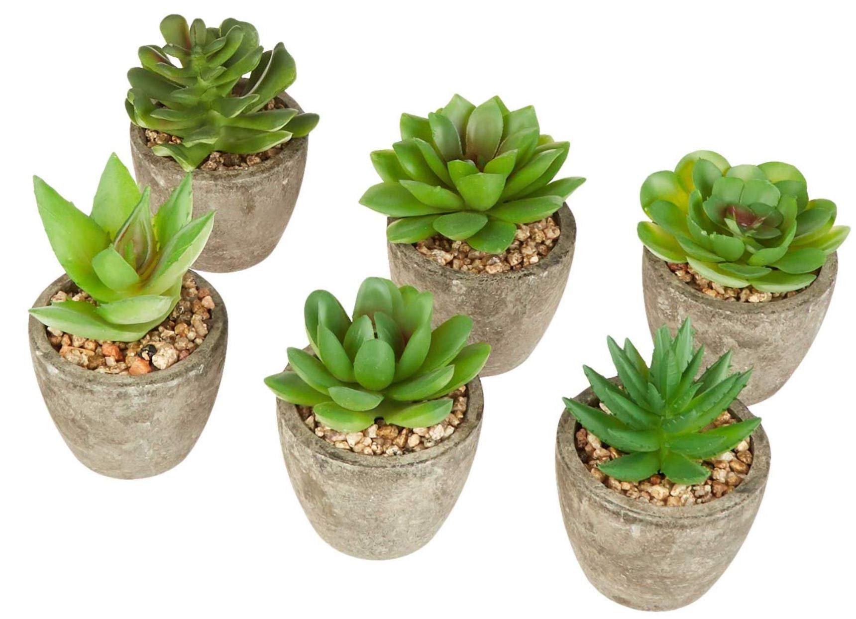 DuraBear Artificial Succulent Plants for Home Or Office | Set of 6 Fake Succulent Plants in Pots | Realistic Look and Feel Faux Succulents | Mini Succulent Plants | Faux Plant Succulent Decor