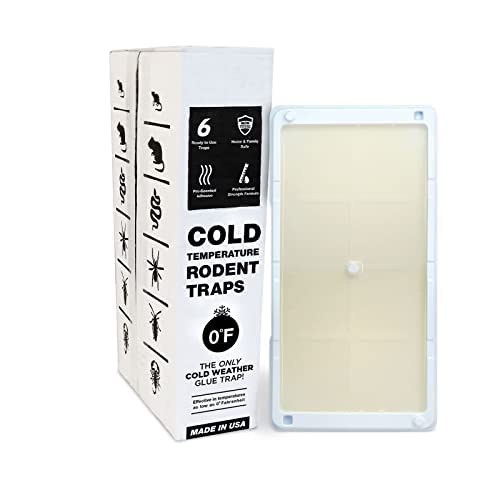 Catchmaster Cold Weather Glue Traps 6PK Mouse Traps Indoor for Home, Pest Control Adhesive Tray, Catch Bugs, Crickets, Spiders, Rats & Rodents, Pet Safe Pre-Baited Glue Boards for House, Shed & Garage