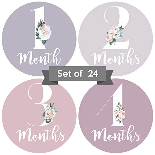 Book Cover Baby Monthly Stickers | Floral Baby Milestone Stickers | Newborn Girl Stickers | Month Stickers for Baby Girl | Baby Girl Stickers | Newborn Monthly Milestone Stickers (Set of 24)
