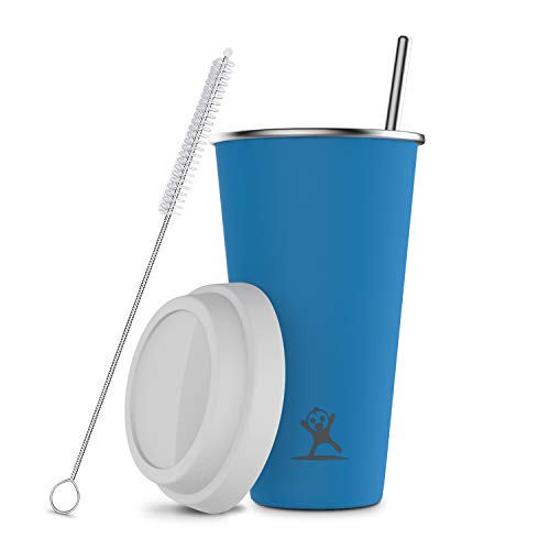 Book Cover Smoothie Cup With Straw and Lid Stainless Steel Double-Walled Vacuum Insulated Tumbler To Go, Metal Wide Straw with Cleaner 16oz