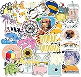 Acekar Stickers for Water Bottles, | Big 50-Pack | Cute,Aesthetic,Trendy Stickers for Teens,Girls,Perfect for Laptop,Hydro Flask,Phone,car,Skateboard,Travel| Extra Durable 100% Vinyl (vsco-50)