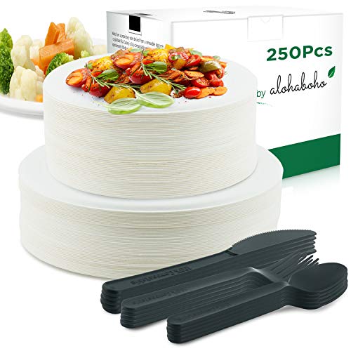 250 Pieces Disposable Dinnerware Set, Compostable Sugarcane Cutlery Eco-Friendly Tableware Includes Biodegradable Paper Plates, Forks, Knives and Spoons Combo for Party, Camping, Picnic (Black)