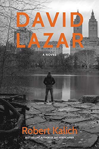 Book Cover David Lazar: A Novel Inspired By A True Story