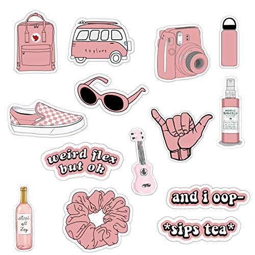 Vsco Girls Stickers for Water Bottles Big 14-Pack, Pink Waterproof Stickers for Hydro Flask,Laptop,Phone,Travel, Photo Sharing, Outdoor - Cute, Trendy, Aesthetic Vinyl Stickers for Teen Girls, Kids