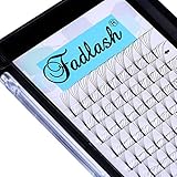 5D Lash Extensions FADLASH Volume Eyelash Extensions Long Stem C/D Curl Premade Lash Fans 9-16mm Length Supply 0.10mm Matte Silk Volume Lash Extensions (5D-0.10-D, 13mm)