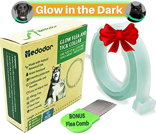 Book Cover MEDODOR Flea and Tick Collar for Small and Large Dogs | 8-Month Tick and Flea Control for Dogs 100% Natural Ingredients | Glow in The Dark Waterproof & Long Lasting (LightGreen)