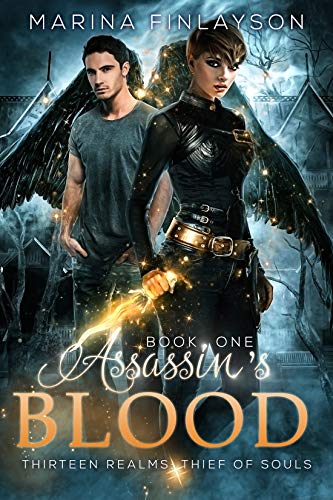 Book Cover Assassin's Blood (Thirteen Realms: Thief of Souls Book 1)