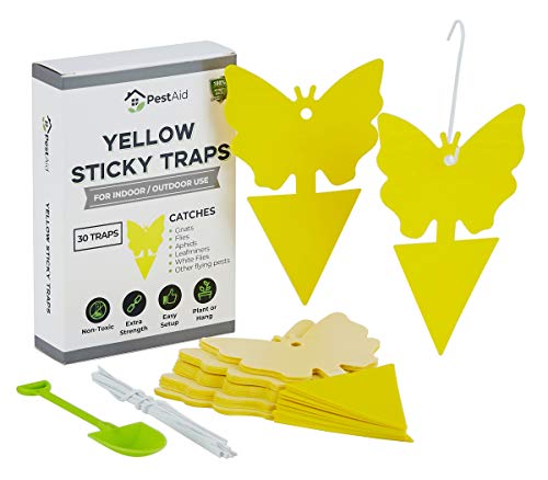 Book Cover Yellow Sticky Fruit Fly Traps (30 Traps) - Fruit Fly Trap Indoor - Gnat Trap Indoor - Fungus Gnat Killer for Indoor Plants - Sticky Fruit Fly Traps For Kitchen Houseplant Insect Control Indoor/Outdoor