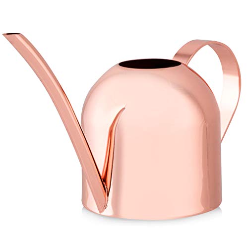 Book Cover Smouldr Mini Plant Watering Can Indoor: Rose Gold Small Watering Can Helps You Water Tiny House Plants, Succulents, Bonsai or Herb Gardens - Steel Plant Waterer for Miniature Flower Pots - 15 Ounces