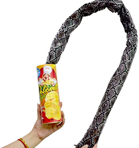 The Potato Chip Snake Can Jump Spring Snake Toy Gift April Fool Day Halloween Party Decoration Jokes in A Can Gag Gift Prank Large Size (Potato Chip Style)(1pcs) (‎Multicolor)