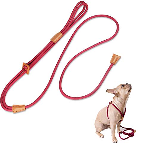 Book Cover Rope Slip Dog Leash and Harness in One Set for Small Medium and Large Dogs, Adjustable Nylon Rope Leash and Harness Set with Reflective(Red) Stripe(Red)