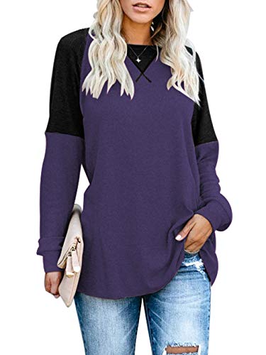 Sarin Mathews Womens Long Sleeve Shirts Casual Tops Round Neck Color Block Loose Fit Tunic Tops Blouses Purple XL