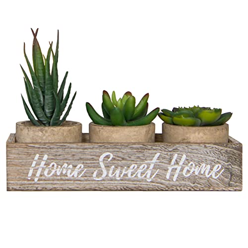 3 Artificial Succulent Plants with Pots with Rustic Planter Box â€“ Home Sweet Home & Live Laugh Love | Realistic Greenery Mini Faux Plant Arrangements For Home Decor Office Table Bathroom Kitchen Dorm