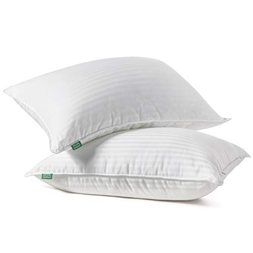 Book Cover Fern and Willow Premium Loft Down Alternative Pillows for Sleeping (2-Pack) - Luxury Gel Plush Pillow (King)
