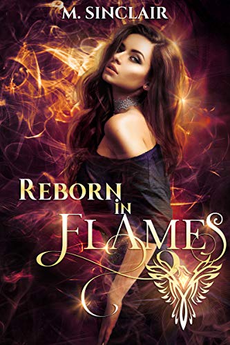 Book Cover Reborn In Flames