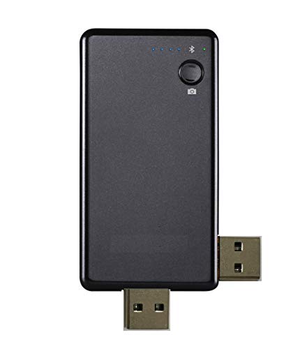 USB Flash Drive for iPhone_ LUNANI iPhone Flash Drive 256GB photostick Mobile for iPhone USB 3.0 iPhone External Storage,Android,PC Photo iPhone Picture Stick(Gold)
