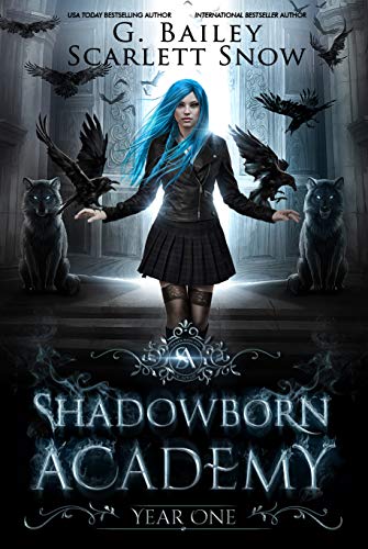 Book Cover Shadowborn Academy: Year One (Dark Fae Academy Series Book 1)