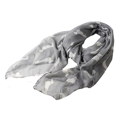 Barara King Scarfs for Women Lightweight Print Shawl Wraps Holiday Voile Scarf Gift