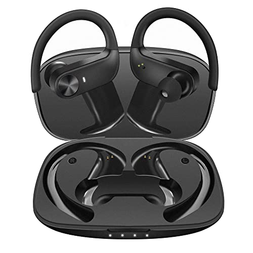 BEBEN Bluetoth 5.0 True Wireless Earbuds, IP68 Waterproof 30H Cyclic Playtime TWS Stereo Headphones for iPhone Android with Charging Case, in-Ear Earphones Headset with mic for Sport/Travel/Gym