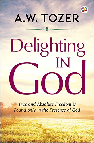 Book Cover Delighting in God (AW Tozer Series Book 1)