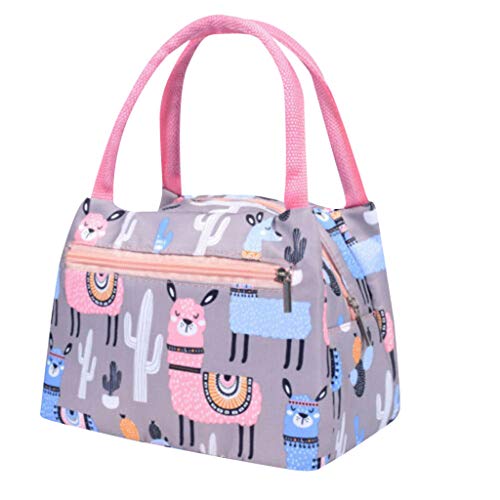 Cute Cartoon Lunch Box Tote Cooler Bag for Women Kids Portable Waterproof Picnic Lunch Bag Thermal Insulated Pouch Lunch Container (A)