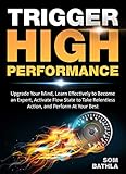 Trigger High Performance: Upgrade Your Mind, Learn Effectively to Become an Expert, Activate Flow State to Take Relentless Action, and Perform At Your Best (Personal Mastery Series Book 3)