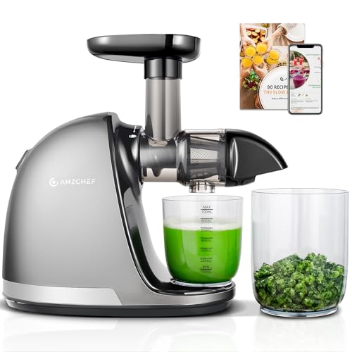AMZCHEF Cold Press Juicer Machines, Slow Masticating Juicers for Whole Fruits and Vegetables, High Juice Yield, No BPA, with 2 Cups and Recipe, Grey