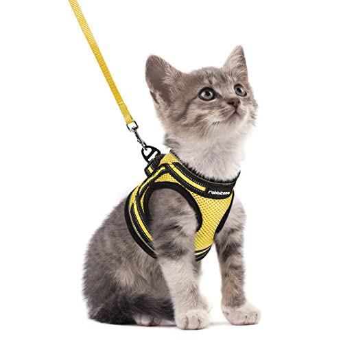 rabbitgoo Cat Harness and Leash Set for Walking Escape Proof