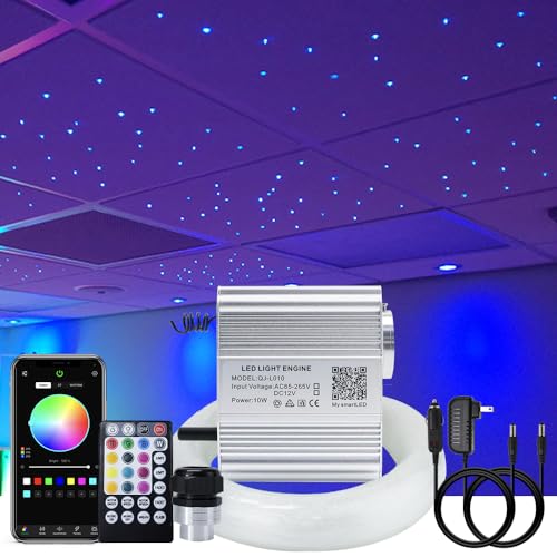 RGBW APP Twinkle Music Light Kits-Home & Car