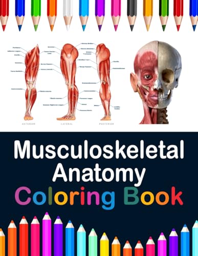 Musculoskeletal Anatomy Coloring Book: Now you can learn and master the muscular system with ease while having fun. Kinesiology of the musculoskeletal system. Anatomy coloring book muscles. Muscle system anatomy coloring book.