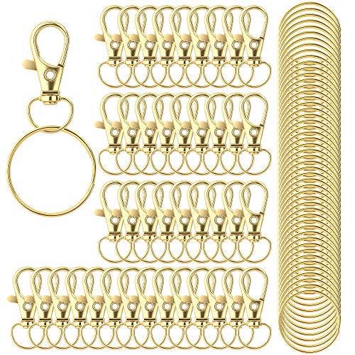 HXSEMAYIG 100PCS Keychain Hooks with Key Rings，Metal Swivel Lobster Claw Clasps, for Keychain Clip Lanyard, Jewelry Making, Crafts