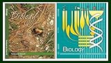 NCERT Biology Textbook For Class - 11 And Class - 12 ( Set Of 2 Original Books Combo ) Eglish Medium