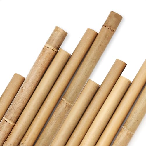 Cambaverd Natural Bamboo Stakes, Eco-Friendly Support for Potted and Climbing Plants