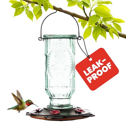 More Birds Vintage Hummingbird Feeder, Antique Glass Hummingbird Feeders for Outdoors, 5 Feeding Stations, 20 Ounces