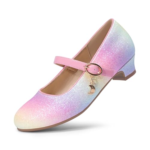 DREAM PAIRS Girls Mary Jane Low Heel Princess Flower Wedding Party Pump Dress Shoes