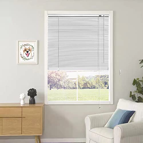Blinds for Windows 35.4" W x 64" H Aluminum Blackout Blinds with Rope and Pole Mini Horizontal Blinds