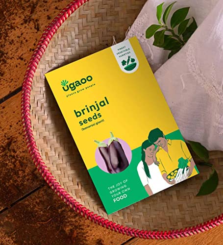 UGAOO Brinjal Banarasi Giant Vegetable Seeds (Pack of 800mg)