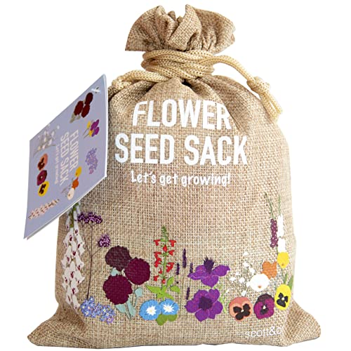 Flower Seed Variety Pack - 30 Different Varieties of Flower Seeds to Grow Your Own. Butterfly and Bee Attracting, Easy to Grow Indoor and Outdoor. Gardening Gifts for Women and Men