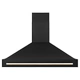 ZLINE 48" Black Stainless Steel Range Hood with Gold Handle (BS655Z-48-G)