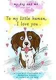My dog and me: Springer spaniel