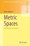 Metric Spaces: A Companion to Analysis (Springer Undergraduate Mathematics Series)