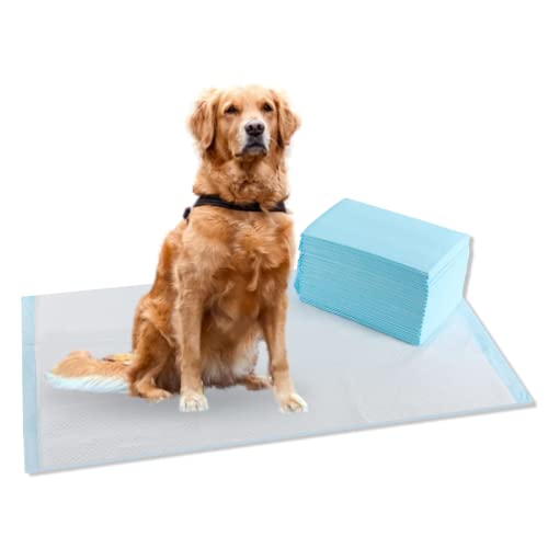 CALPALMY Ultra Absorbency Pet Toilet Training Pads Moisture Locking Technology Turns Liquid into Gel