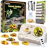 GobiDex Amber Dig Kit-Artificial Insect Resin, Excavate 6 Insects Specimens, STEM Geographic Educational Bugs Toys, Excavation Toys for Fun Bugs Party Favors, Science Kits for Kids Age 6-8 8-12
