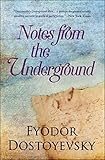 Notes from the Underground (DF Modern Classics)