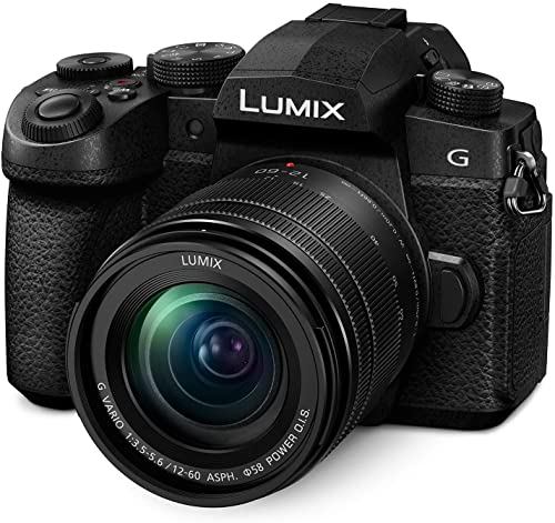 Panasonic LUMIX Megapixel Mirrorless Camera