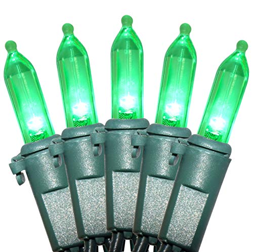 Holiday Essence LED Christmas Lights