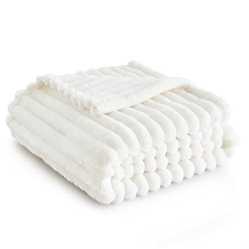 Bedsure Living Room Decor Home White Throw Blanket Gifts for Women Men, Soft Fluffy Fleece Cozy Fuzzy Plush Warm Couch Bed Blanket, Bedroom Spring Decor White Gifts for Him Her, 50x60