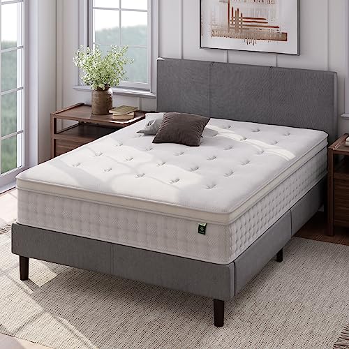 Zinus Euro Top Pocket Spring Hybrid Mattress