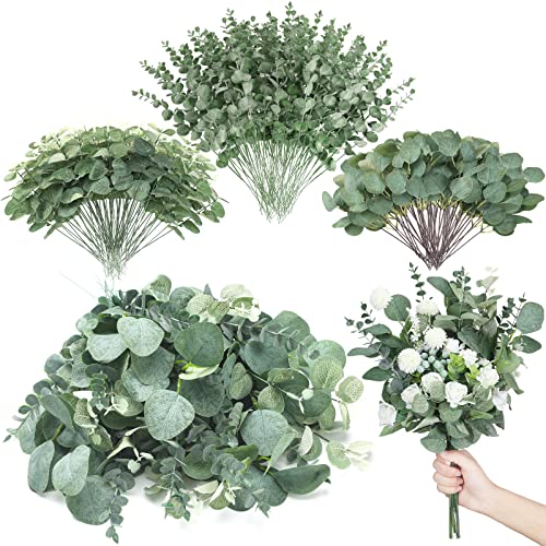 Giegxin 3 Kinds Mixed Eucalyptus Leaves Stems Bulk Artificial Silver Dollar Leaves Picks Dried Eucalyptus Bundle Faux Spray for Wedding Vase Bouquet Floral Arrangement