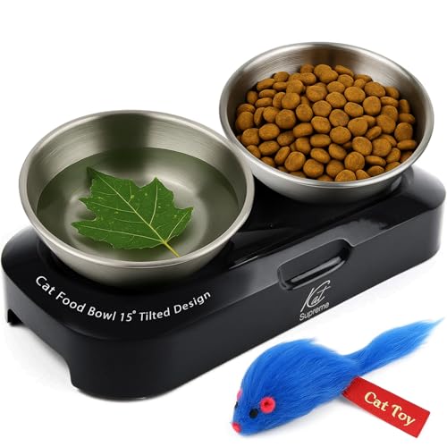 KatSupreme Tilted Cat Food and Water Bowls - Set of 2 Stainless Steel Bowls with Non-Slip Base and Anti Vomiting Feature, Ideal for Indoor Cats, Ant Proof